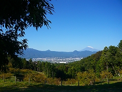 活動風景の画像