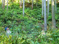 活動風景の画像