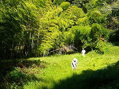 活動風景の画像