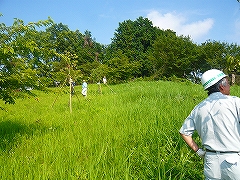 活動風景の画像