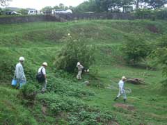 活動風景の画像