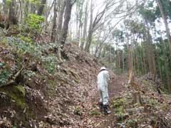 急勾配の散策路で作業する隊員の画像