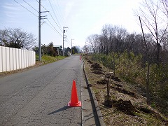 活動風景の画像