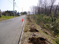 活動風景の画像