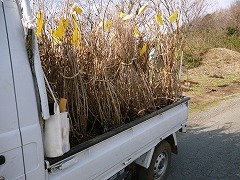 活動風景の画像