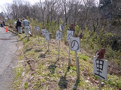 活動風景の画像