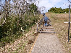 活動風景の画像