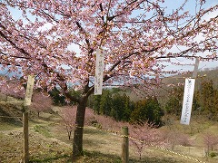 活動風景の画像