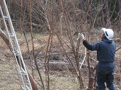 活動風景の画像