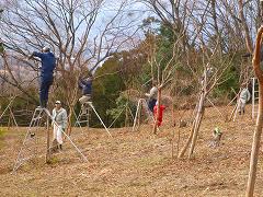 活動風景の画像