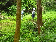 活動風景の画像