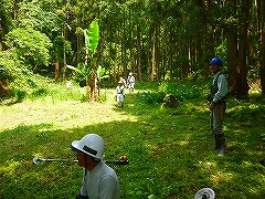 活動風景の画像