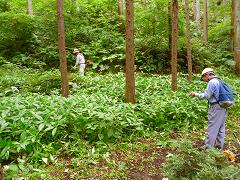 活動風景の画像