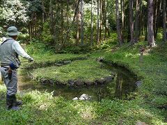 活動風景の画像