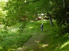 活動風景の画像