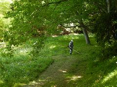 活動風景の画像