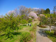 活動風景の画像