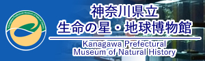 神奈川県立 生命の星・地球博物館