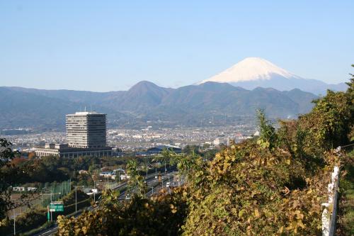 yanagi