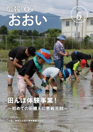 広報おおい6月号