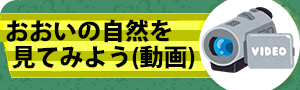 おおいの自然を見てみよう