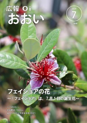 広報おおい7月号