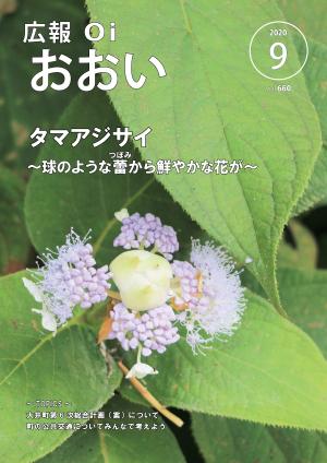 広報おおい9月号