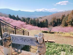 R03.02.17_開花状況②
