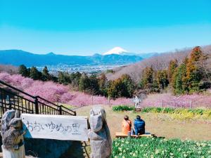 R03.02.19_開花状況①