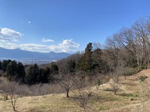 ゆめの里