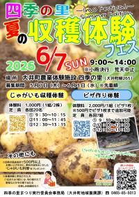 チラシ